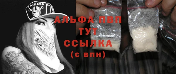 ешки Новодвинск