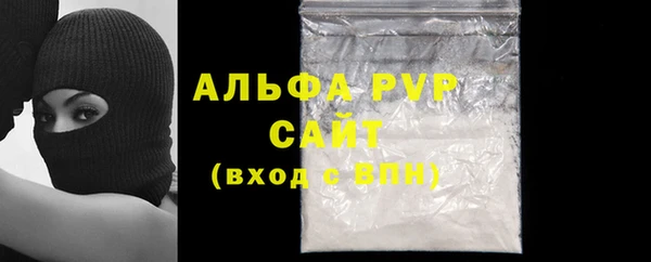 мдпв Новозыбков
