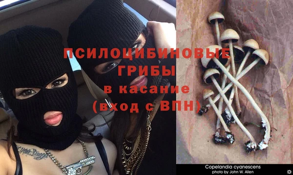 мдпв Новозыбков