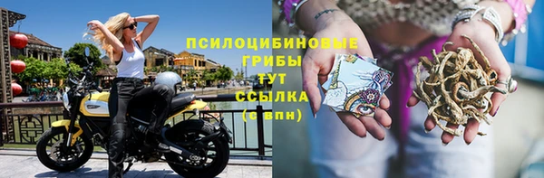 мдпв Новозыбков