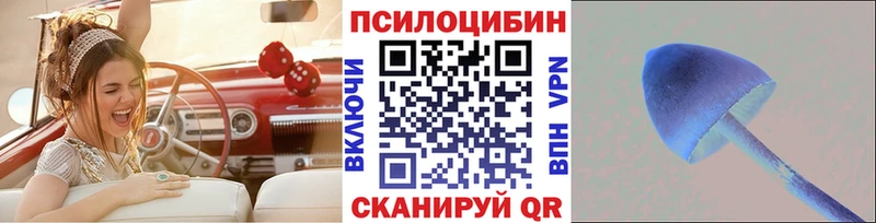 Купить  Сорск  Галлюциногенные грибы мицелий 